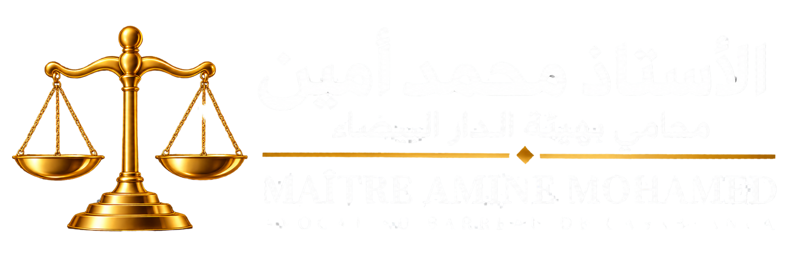 الأستاذ أمين محمد